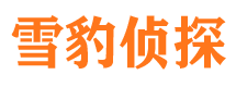 廉江外遇出轨调查取证